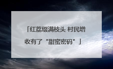 红荔缀满枝头 村民增收有了“甜蜜密码”