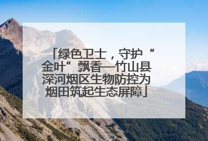绿色卫士，守护“金叶”飘香—竹山县深河烟区生物防控为烟田筑起生态屏障
