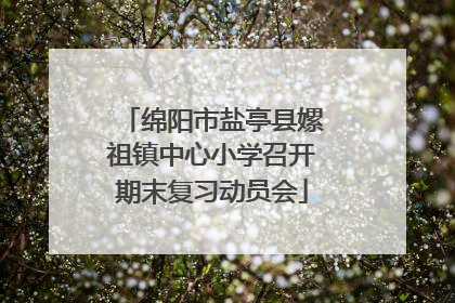 绵阳市盐亭县嫘祖镇中心小学召开期末复习动员会