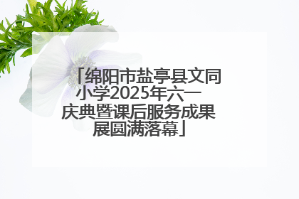 绵阳市盐亭县文同小学2025年六一庆典暨课后服务成果展圆满落幕