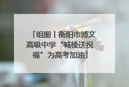 组图丨衡阳市博文高级中学“喊楼送祝福”为高考加油