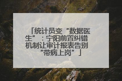 统计员变“数据医生”：宁阳前置纠错机制让审计报表告别“带病上岗”