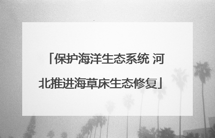 保护海洋生态系统 河北推进海草床生态修复