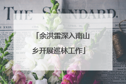 余洪雷深入南山乡开展巡林工作