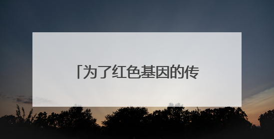 为了红色基因的传承：八旬“老讲解”义务讲解24年
