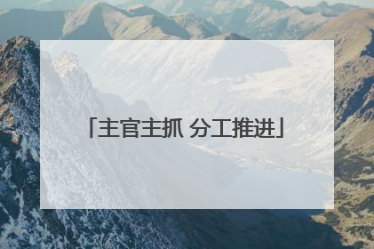 主官主抓 分工推进