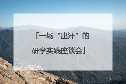 一场“出汗”的研学实践座谈会