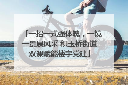 一招一式强体魄，一镜一景展风采 积玉桥街道双课赋能楼宇党建