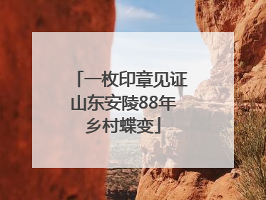 一枚印章见证山东安陵88年乡村蝶变