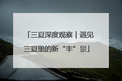三夏深度观察｜遇见三夏里的新“丰”景