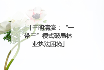 三明清流：“一带三”模式破局林业执法困境