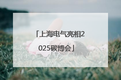 上海电气亮相2025碳博会