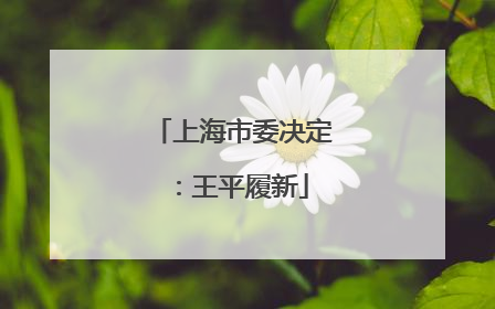 上海市委决定：王平履新