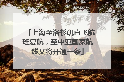 上海至洛杉矶直飞航班复航，至中亚国家航线又将开通一条
