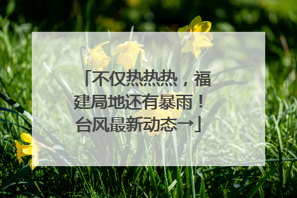 不仅热热热，福建局地还有暴雨！台风最新动态→
