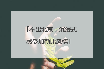 不出北京，沉浸式感受加勒比风情