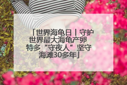 世界海龟日丨守护世界最大海龟产卵 特多“守夜人”坚守海滩30多年