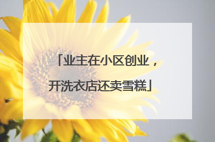 业主在小区创业，开洗衣店还卖雪糕