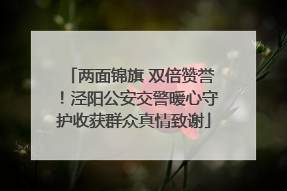 两面锦旗 双倍赞誉！泾阳公安交警暖心守护收获群众真情致谢