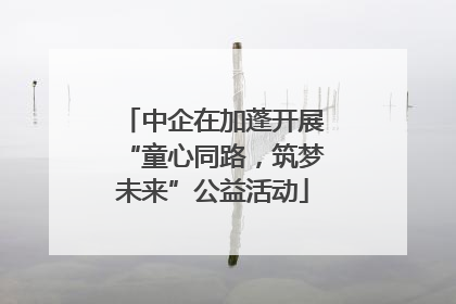 中企在加蓬开展“童心同路，筑梦未来”公益活动