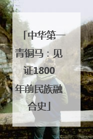 中华第一青铜马：见证1800年前民族融合史