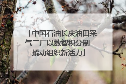 中国石油长庆油田采气二厂以数智积分制 撬动组织新活力