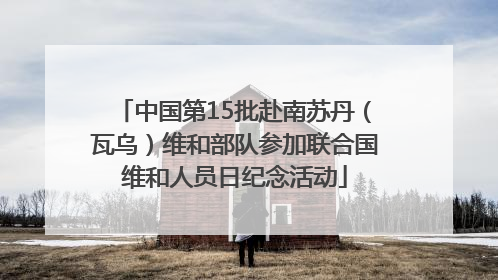 中国第15批赴南苏丹（瓦乌）维和部队参加联合国维和人员日纪念活动