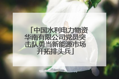 中国水利电力物资华南有限公司党员突击队勇当新能源市场开拓排头兵