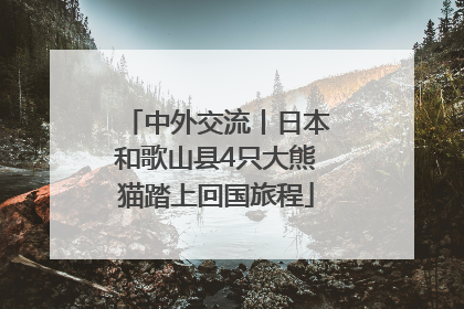 中外交流丨日本和歌山县4只大熊猫踏上回国旅程