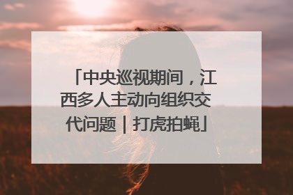 中央巡视期间，江西多人主动向组织交代问题｜打虎拍蝇