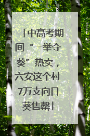 中高考期间“一举夺葵”热卖，六安这个村7万支向日葵售罄