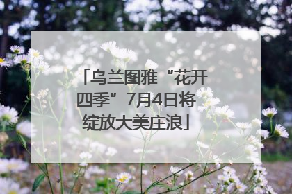 乌兰图雅“花开四季”7月4日将绽放大美庄浪
