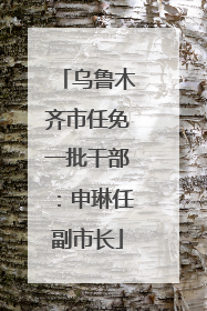 乌鲁木齐市任免一批干部：申琳任副市长