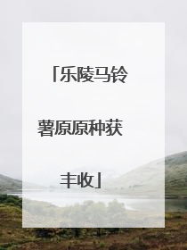 乐陵马铃薯原原种获丰收