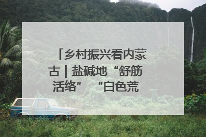 乡村振兴看内蒙古｜盐碱地“舒筋活络” “白色荒漠”长出吨粮田