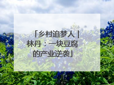 乡村追梦人｜林丹：一块豆腐的产业逆袭
