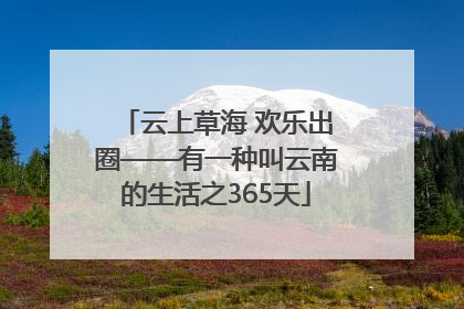 云上草海 欢乐出圈——有一种叫云南的生活之365天