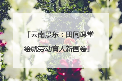 云南景东：田间课堂绘就劳动育人新画卷