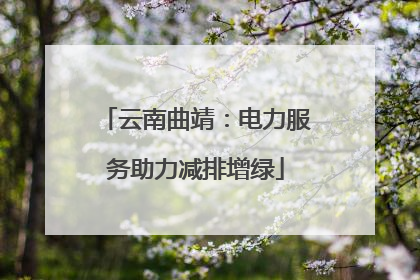 云南曲靖：电力服务助力减排增绿