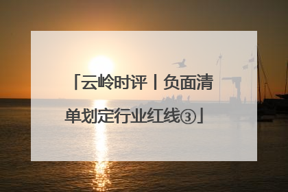 云岭时评丨负面清单划定行业红线③
