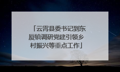 云霄县委书记到东厦镇调研党建引领乡村振兴等重点工作