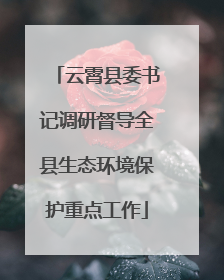 云霄县委书记调研督导全县生态环境保护重点工作