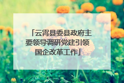云霄县委县政府主要领导调研党建引领国企改革工作