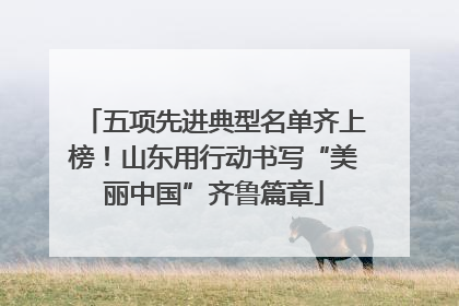 五项先进典型名单齐上榜！山东用行动书写“美丽中国”齐鲁篇章