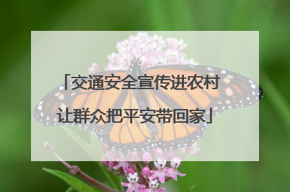 交通安全宣传进农村 让群众把平安带回家