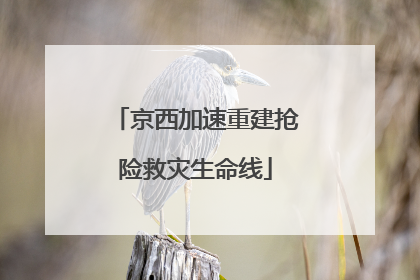 京西加速重建抢险救灾生命线