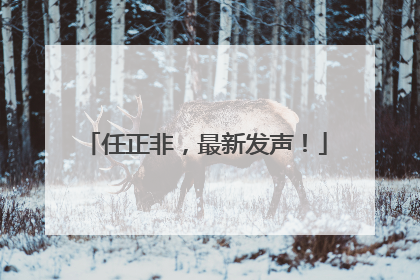 任正非，最新发声！