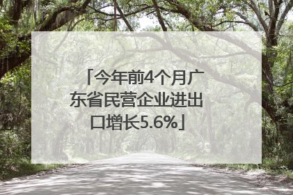 今年前4个月广东省民营企业进出口增长5.6%