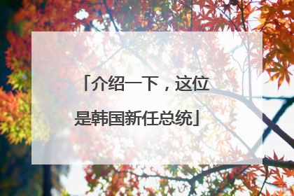 介绍一下，这位是韩国新任总统