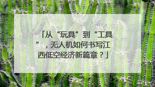从“玩具”到“工具”，无人机如何书写江西低空经济新篇章？